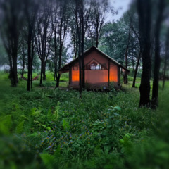 База отдыха Sысhёvka Глэмпинг Парк, Смоленская область