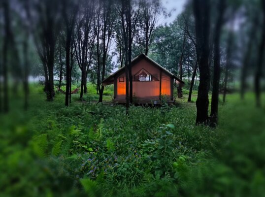 Sысhёvka Глэмпинг Парк — фото 5