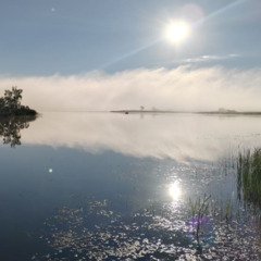 База отдыха Sысhёvka Глэмпинг Парк, Смоленская область