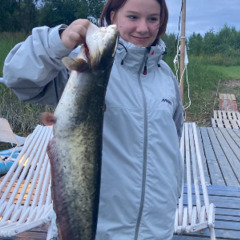 База отдыха Sысhёvka Глэмпинг Парк, Смоленская область