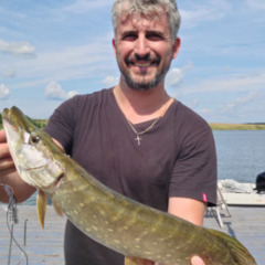 База отдыха Sысhёvka Глэмпинг Парк, Смоленская область