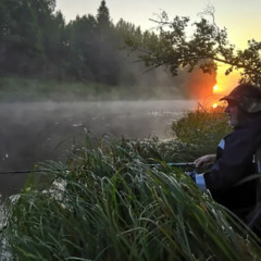 База отдыха Sысhёvka Глэмпинг Парк, Смоленская область