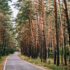 Дом семейного отдыха Горицы Hotel&Resort, Липецкая область