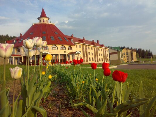 Внешний вид