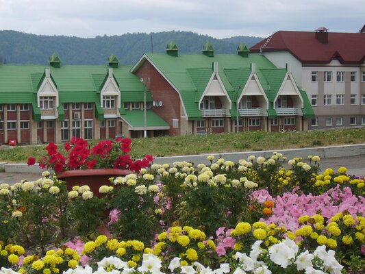 Внешний вид