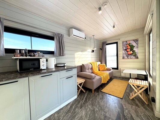 Морошка Сканди — фото 1