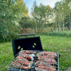 Гостевой дом Морошка Сканди, Московская область