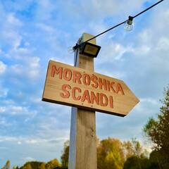 Гостевой дом Морошка Сканди, Московская область