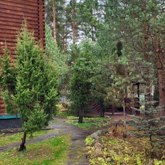 База отдыха Плещеево, Ярославская область