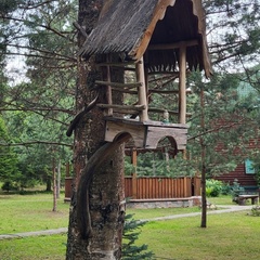 База отдыха Плещеево, Ярославская область