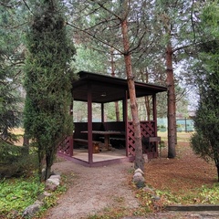 База отдыха Плещеево, Ярославская область