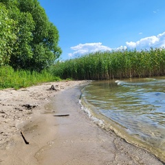 База отдыха Плещеево, Ярославская область