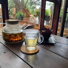 База отдыха Куршале, Поселок Лесной, Калининградская область