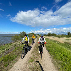 База отдыха Куршале, Поселок Лесной, Калининградская область