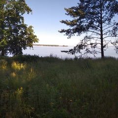 База отдыха Медвежий угол, Ульяновская область