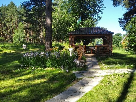 Медвежий угол — фото 2