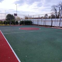 Гостиница Европа, Гагра