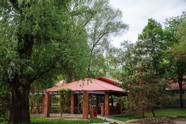 Ивушка — фото 4