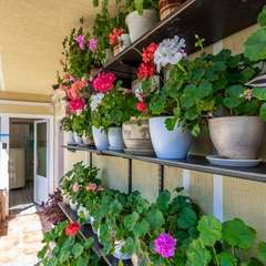 Гостевой дом Малахит, Краснодарский край