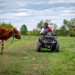 База отдыха Павлов Вилладж, Московская область