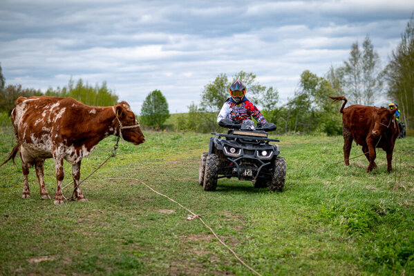 Павлов Вилладж — фото 5
