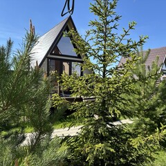 База отдыха Павлов Вилладж, Московская область