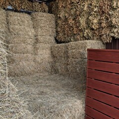 База отдыха Павлов Вилладж, Московская область