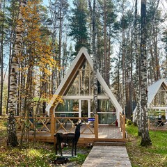 Парк-отель Хвоя, Новосибирская область