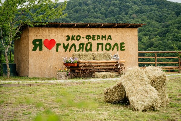 Гуляй поле — фото 4