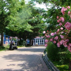 Санаторий Ширак, Краснодарский край