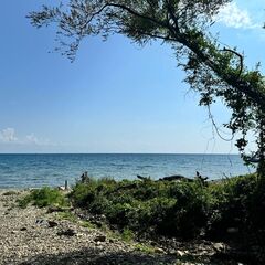 Кемпинг  Пляжный 9-й километр, Краснодарский край