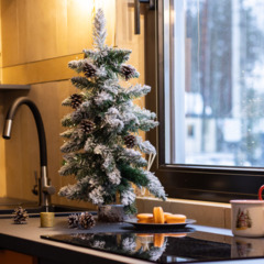 Дом в аренду Eliza Home, Ленинградская область