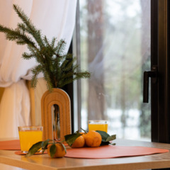 Дом в аренду Eliza Home, Ленинградская область
