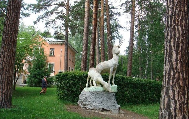 Сосновая горка — фото 3