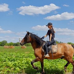 Оздоровительный комплекс Тетьково, Кашинский район, Тверская область