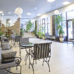 Отель Orchestra OKA Spa Resort , Московская область