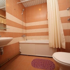 Отель Orchestra OKA Spa Resort , Московская область