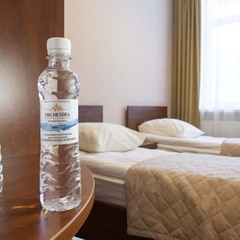 Отель Orchestra OKA Spa Resort , Московская область
