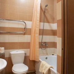 Отель Orchestra OKA Spa Resort , Московская область