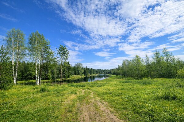 У реки с лососем — фото 5