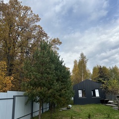 Гостевой дом Дом у леса, Татарстан