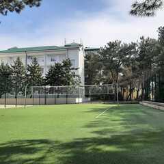 Пансионат Кавказ, Краснодарский край