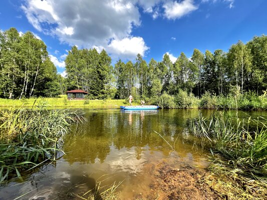 с баней в деревне Андросово и собственным озером — фото 5
