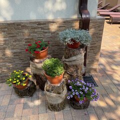 Гостевой дом Alba Inn Apartments, Краснодарский край