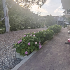 Апартаменты Villa Monte, Гудаута