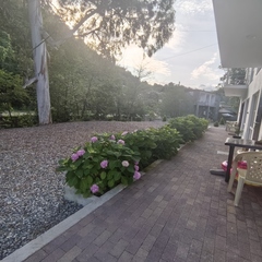 Апартаменты Villa Monte, Гудаута