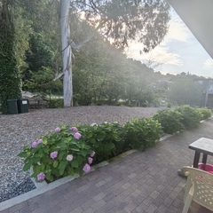 Апартаменты Villa Monte, Гудаута