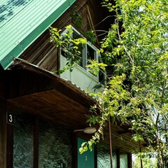 База отдыха Полянка, Новосибирская область