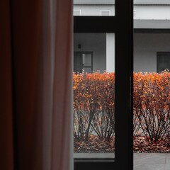 Отель Вилла Доминанта , Тамбовская область
