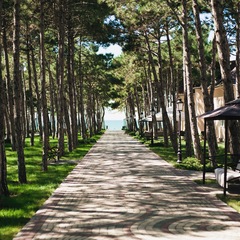 Гостевой дом Alma Park Resort, Крым
